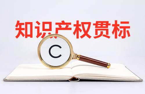 小微初創(chuàng)企業(yè)怎么申請知識產(chǎn)權(quán)貫標？