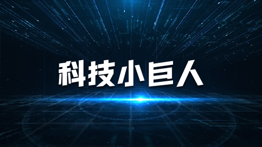 廣東省工業(yè)和信息化廳關于做好第四批專精特新“小巨人”企業(yè)推薦和第一批專精特新“小巨人”企業(yè)復核工作的通知